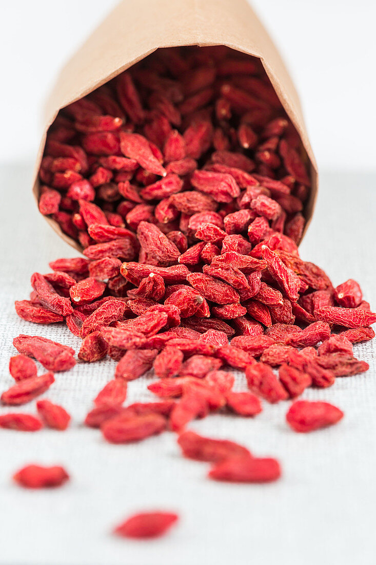 Wolfberry, commercially called goji berry