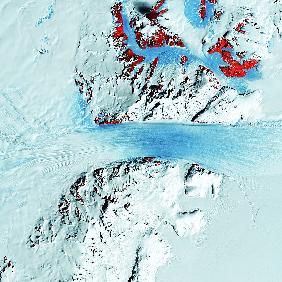 Byrd Glacier, satellite image