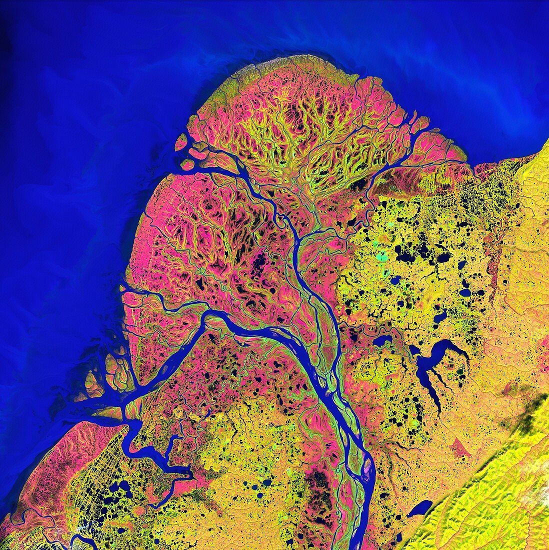 Yukon Delta, satellite image