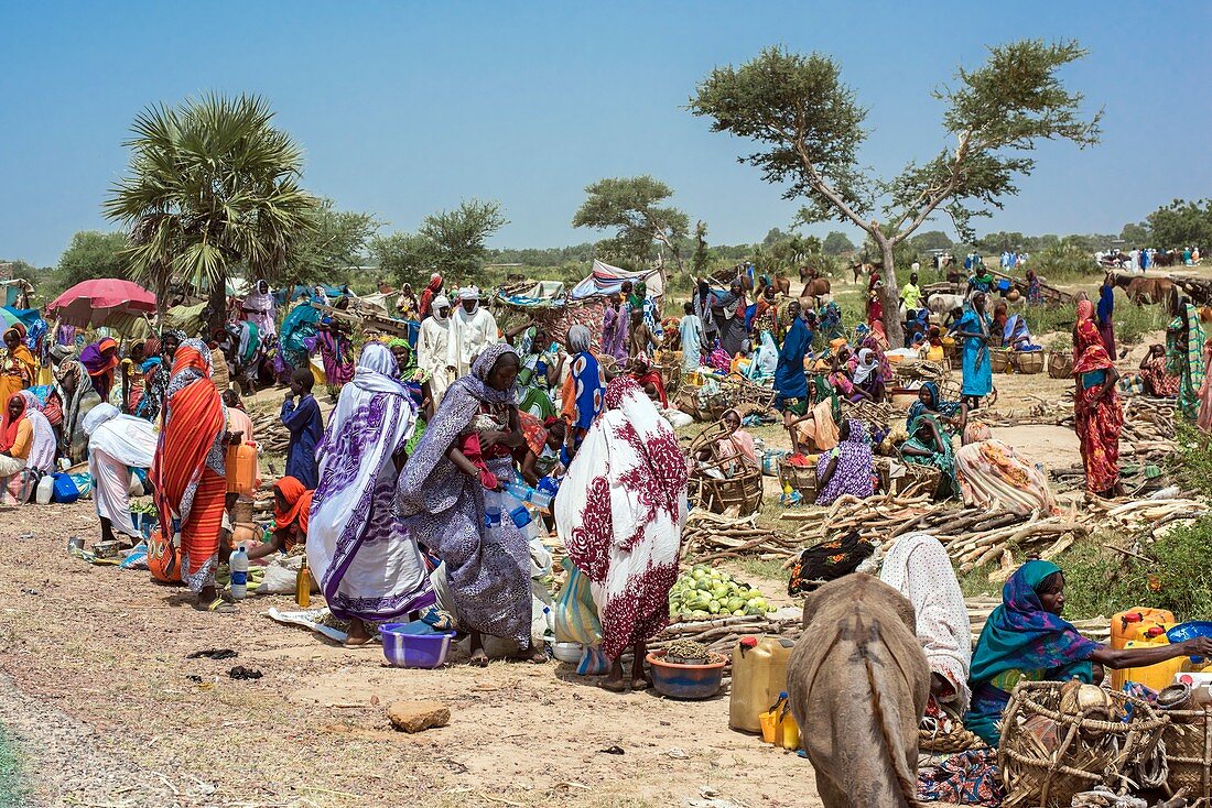 Market scene outside N'Djamena Chad