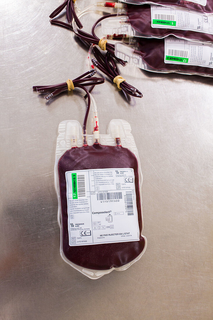 Blood donor processing