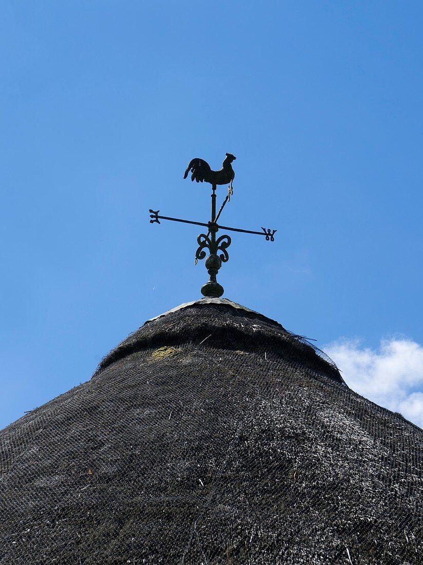 Weather vane on a thatched roof