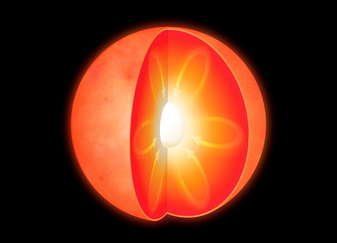 Cutaway of a red dwarf star