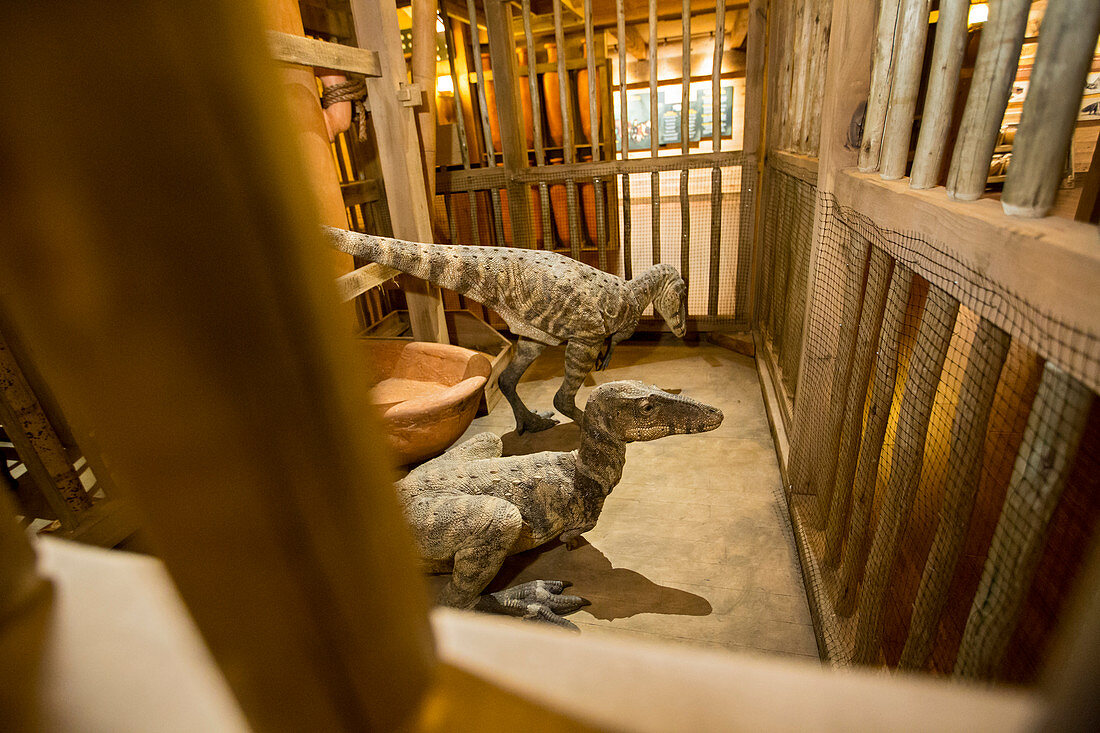 Dinosaurs at the Ark Encounter creationist theme park