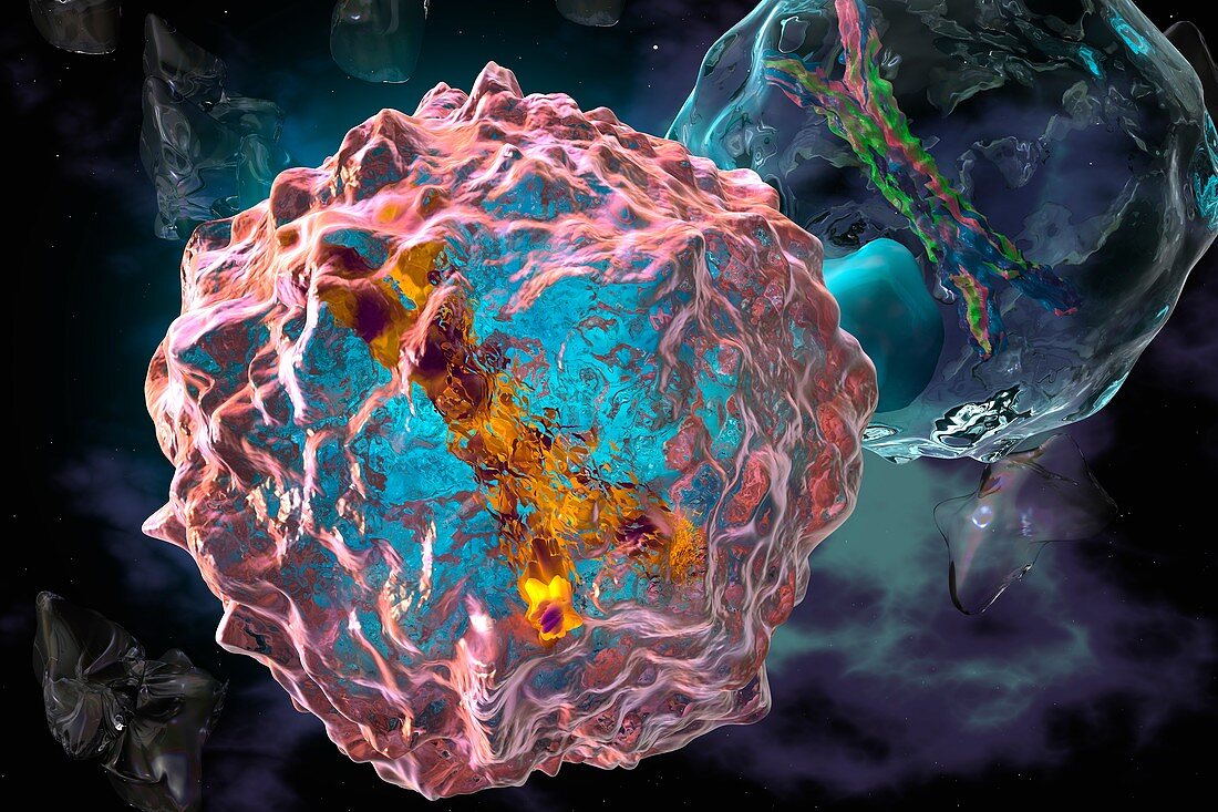 Chromosome inside of the cell, illustration