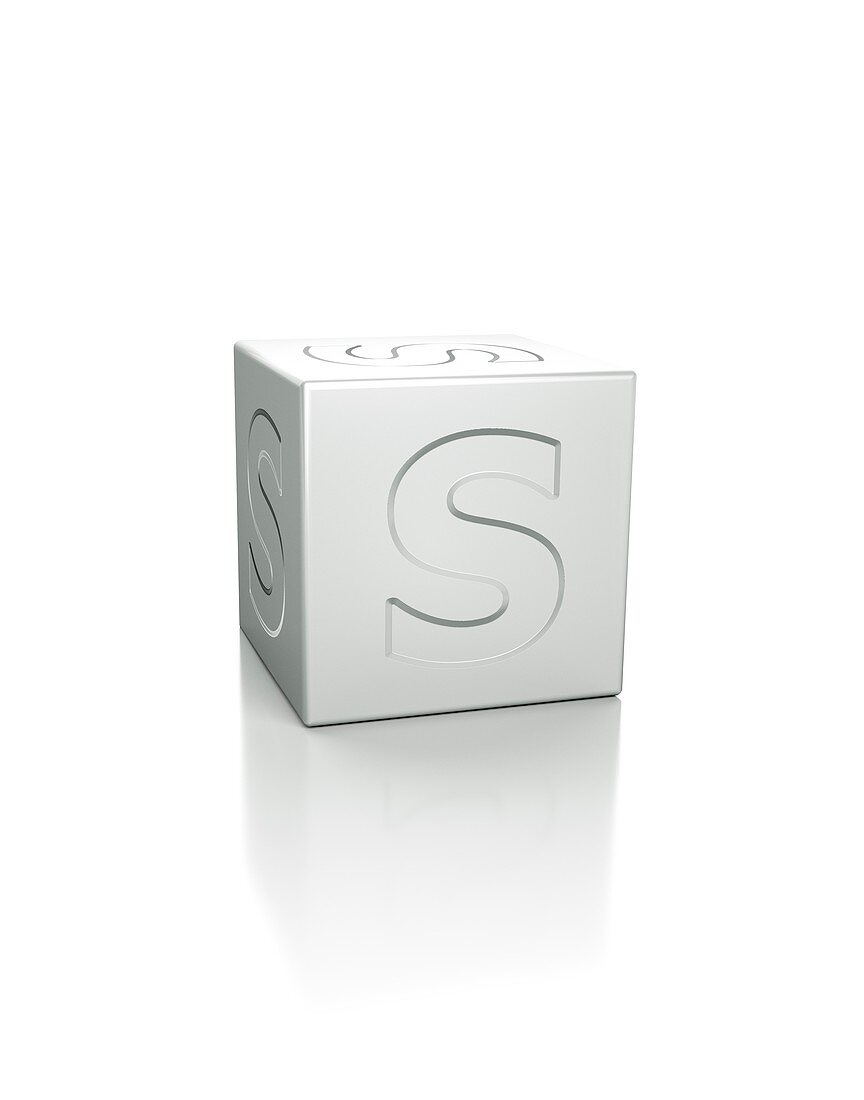 Cube with the letter S embossed.