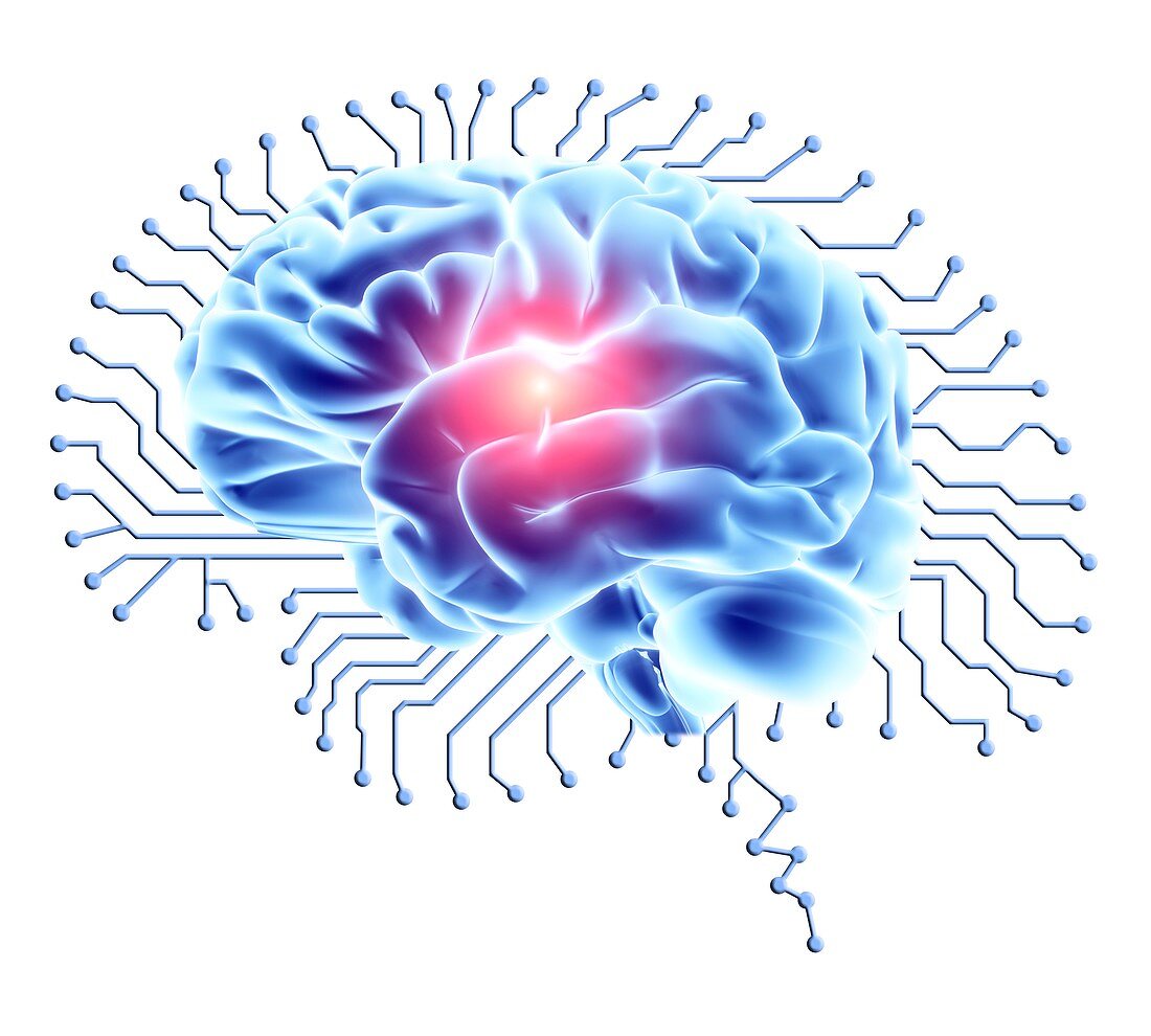 Human brain on brain-shaped circuit board