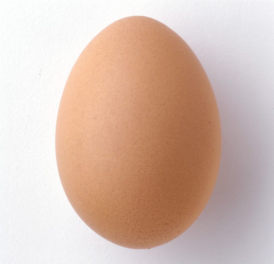 Single Brown Egg