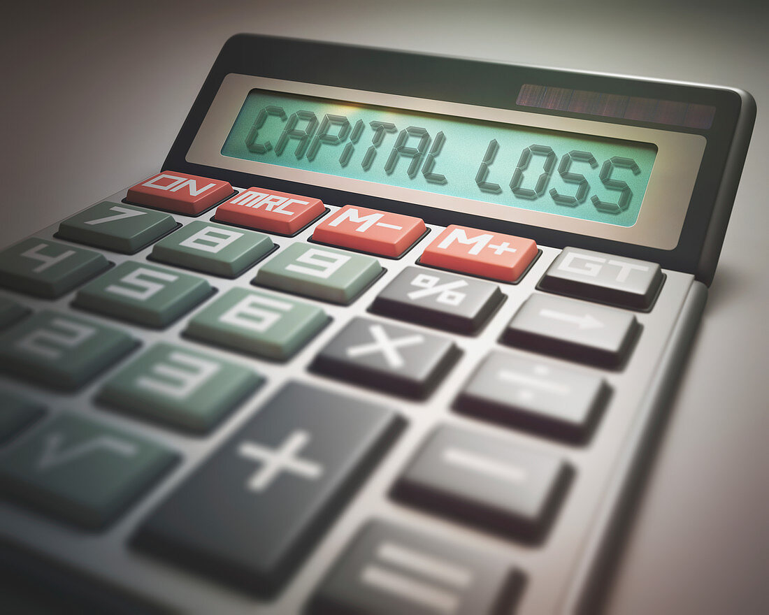 Calculator with capital loss
