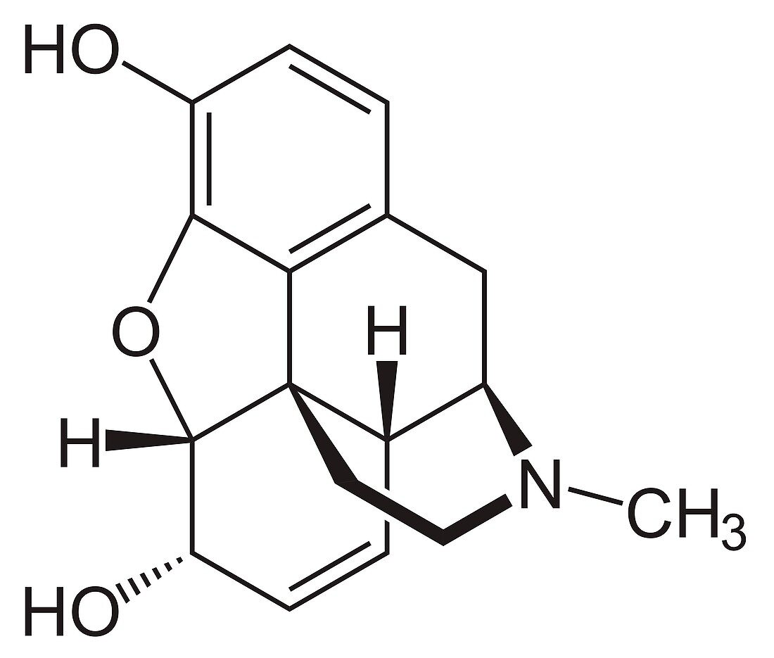 Morphine drug molecule, skeletal formula