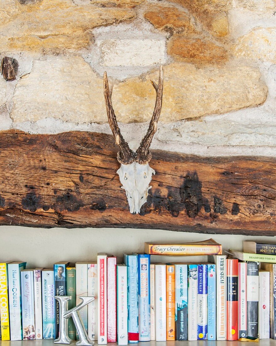 Skull with antlers hung on beam above row of books and decorative letter
