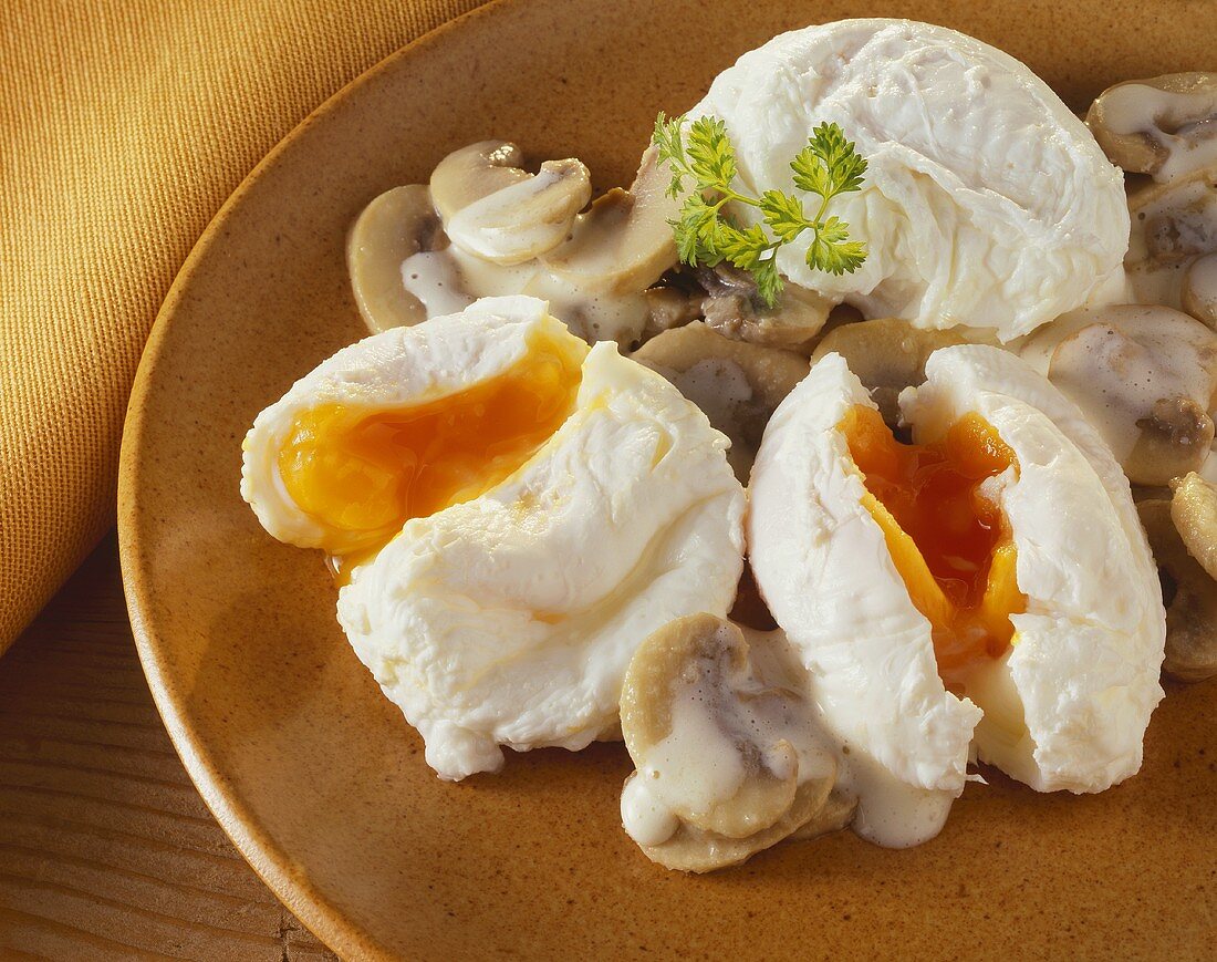 Poached Eggs on Mushroom Sauce