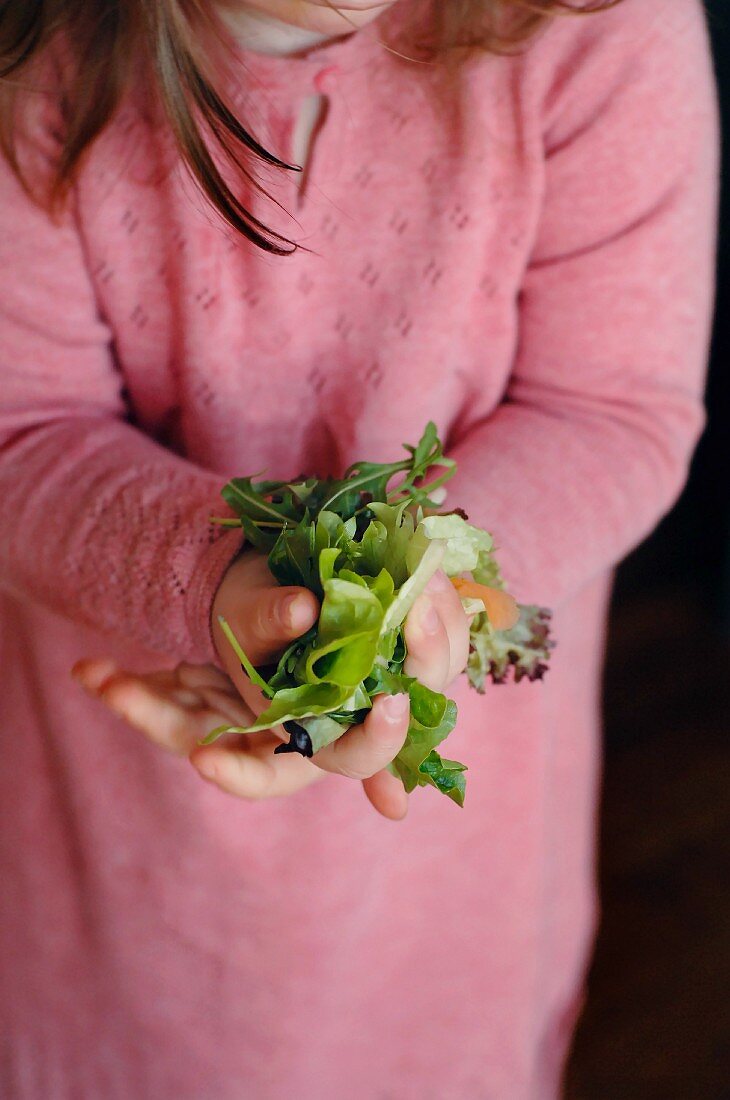 A young girl holding fresh lettuce leaves in her hand