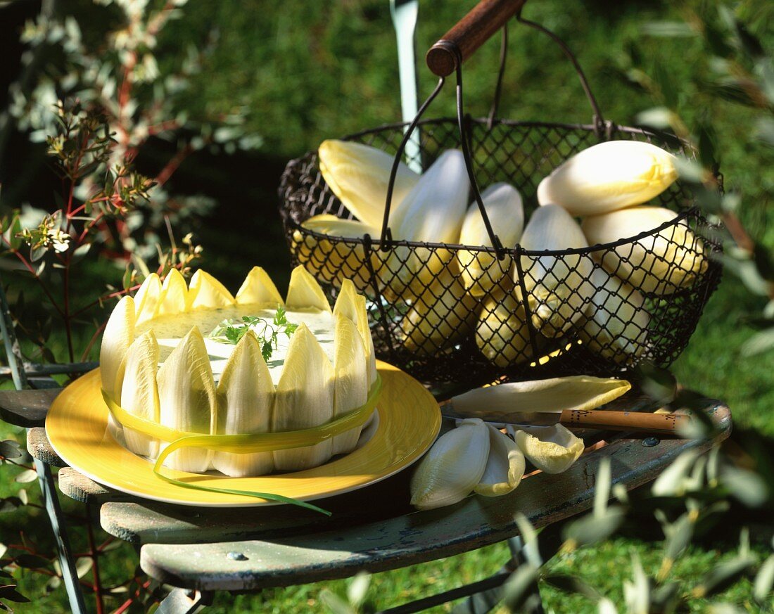 Chicorée-Torte auf Gartenstuhl im Freien