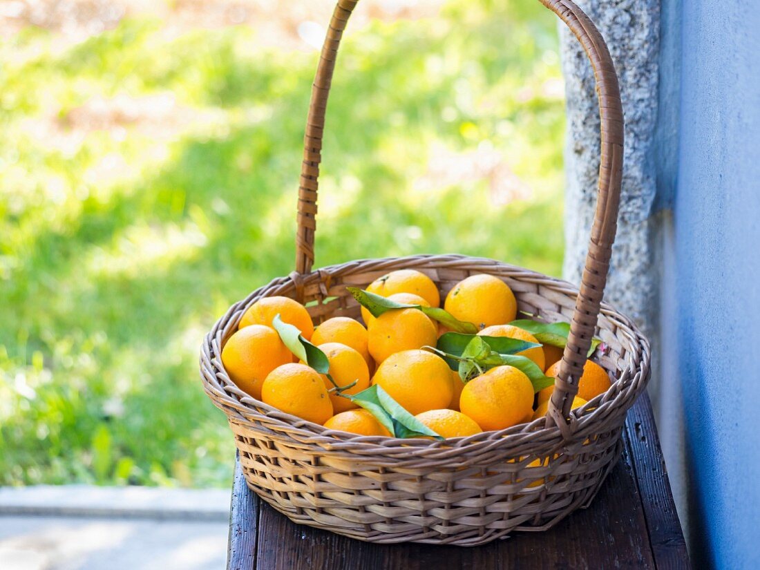 Korb mit portugiesischen Orangen auf Bank im Freien