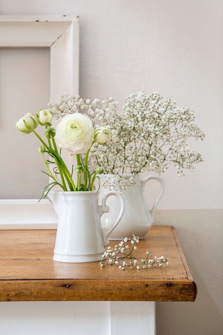 Ranunculus and gypsophila in two white milk jugs