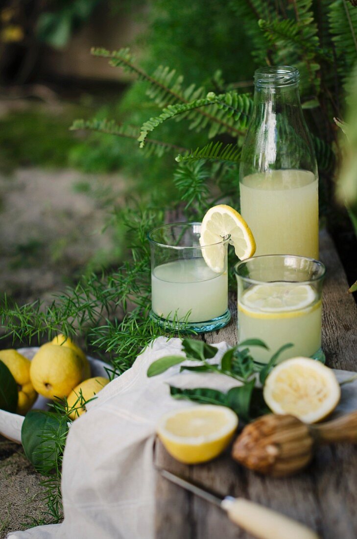 Selbstgemachte Zitronenlimonade in Flasche und Gläsern auf Tisch im Garten