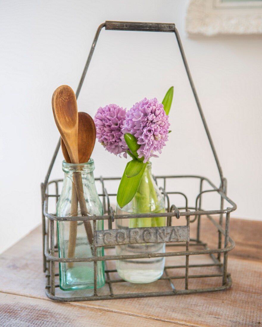 Hyacinths and wooden spoons in glass bottles in vintage bottle carrier
