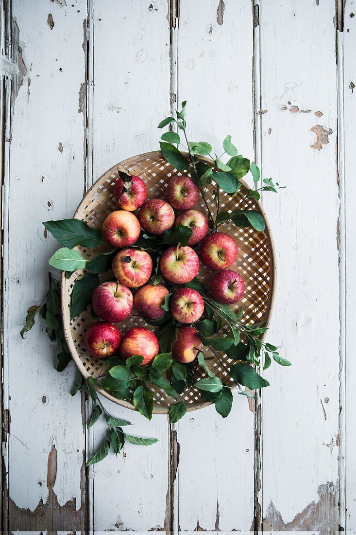 Several organic apples with leaves in a basket