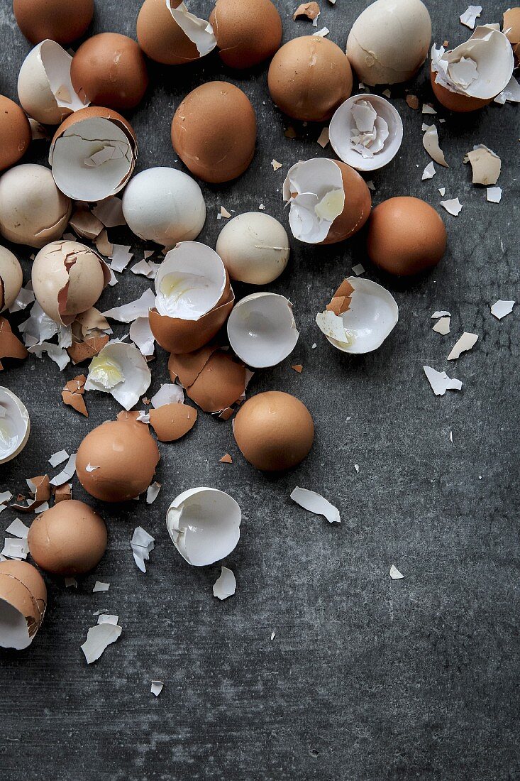 Broken eggshells