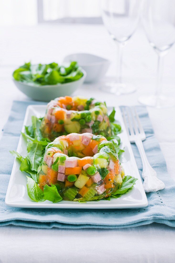 Vegetable salad in jelly