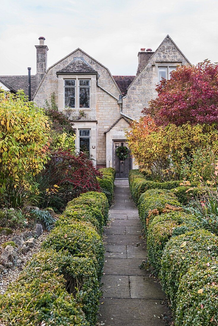 Garden path lined with box hedges leading to house