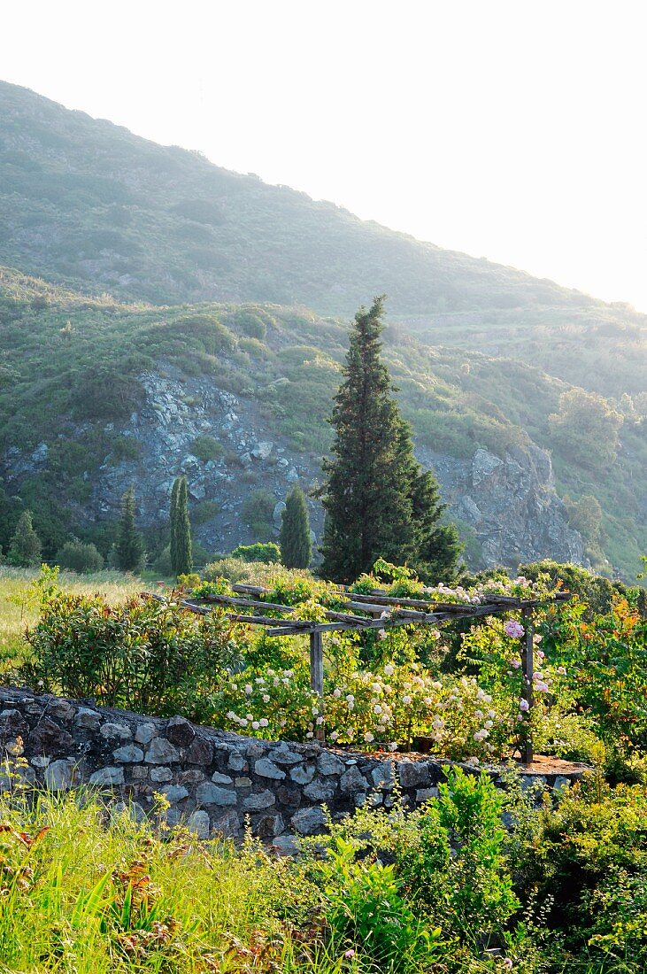 Stone wall and pergola in wild garden in front of green hills