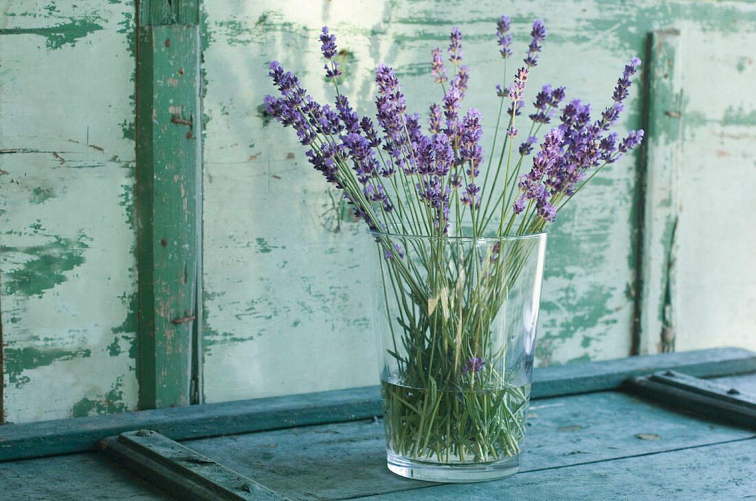 Lavendelblüten in einer Blumenvase