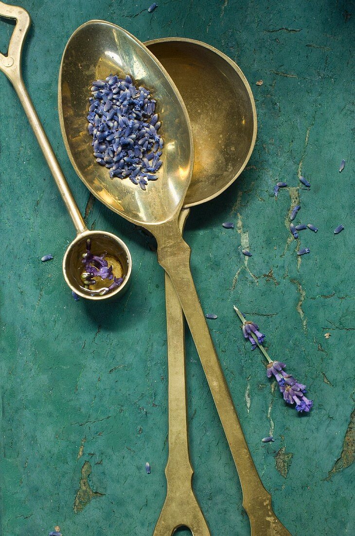 Lavendelöl in einem Messlöffel und getrocknete Lavendelblüten auf einem Löffel
