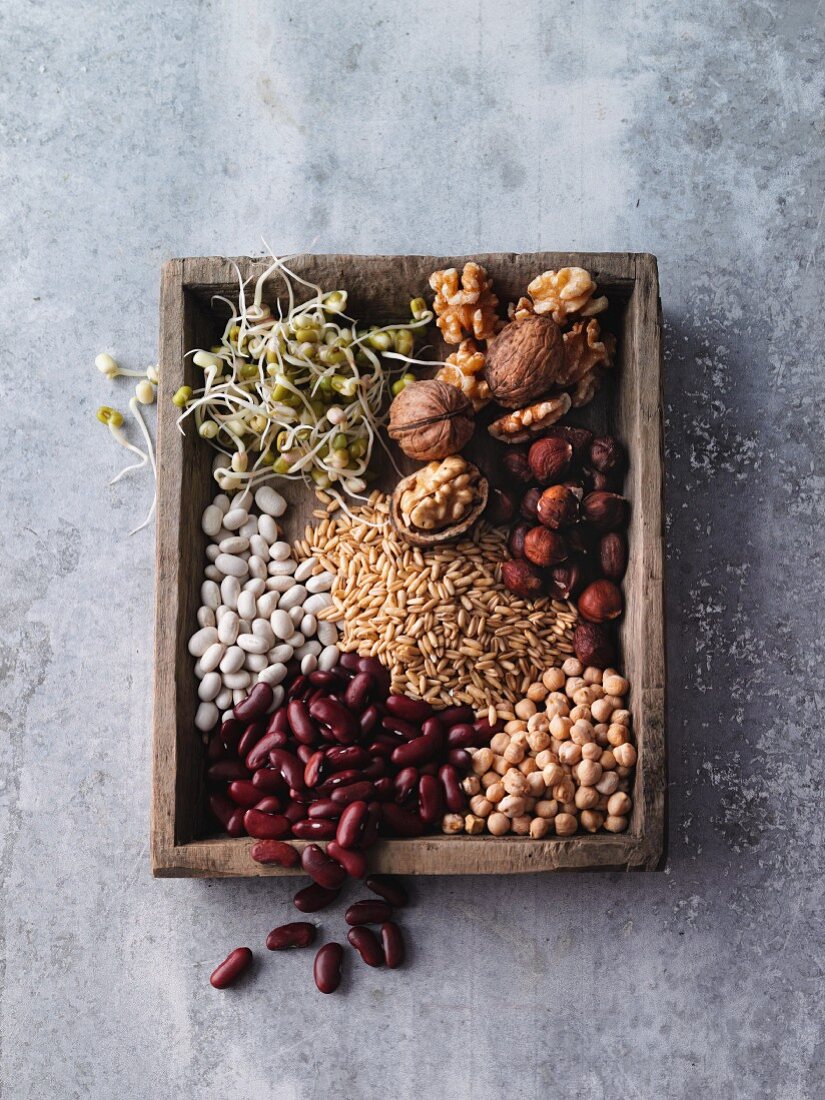 Rich in protein - shoots, nuts, pulses and cereal