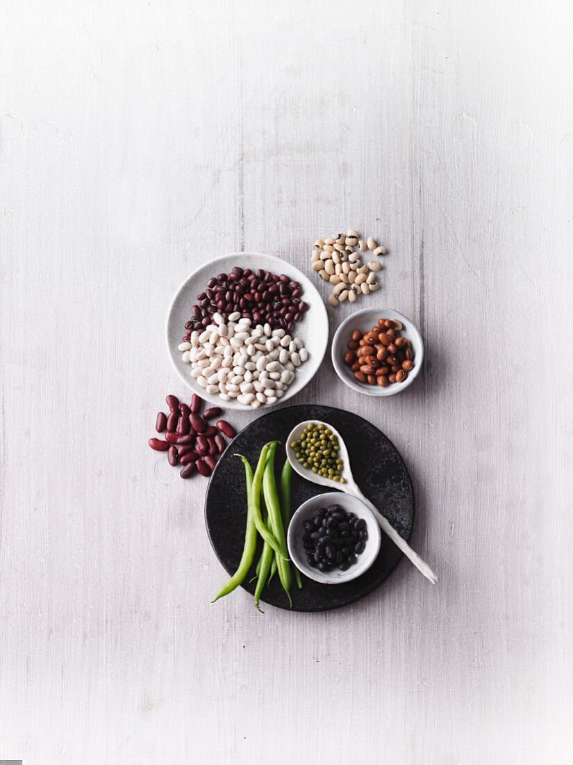 Protein-rich beans - various different types
