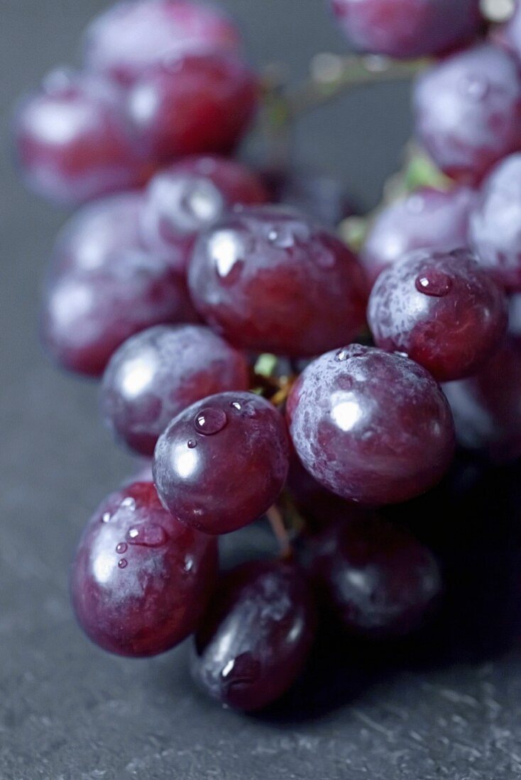 Rote Trauben mit Wassertropfen (Close Up)