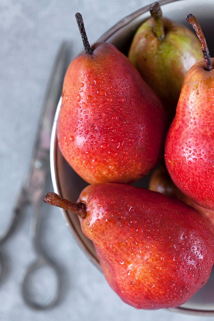 Red pears with water drops in a metal bowl