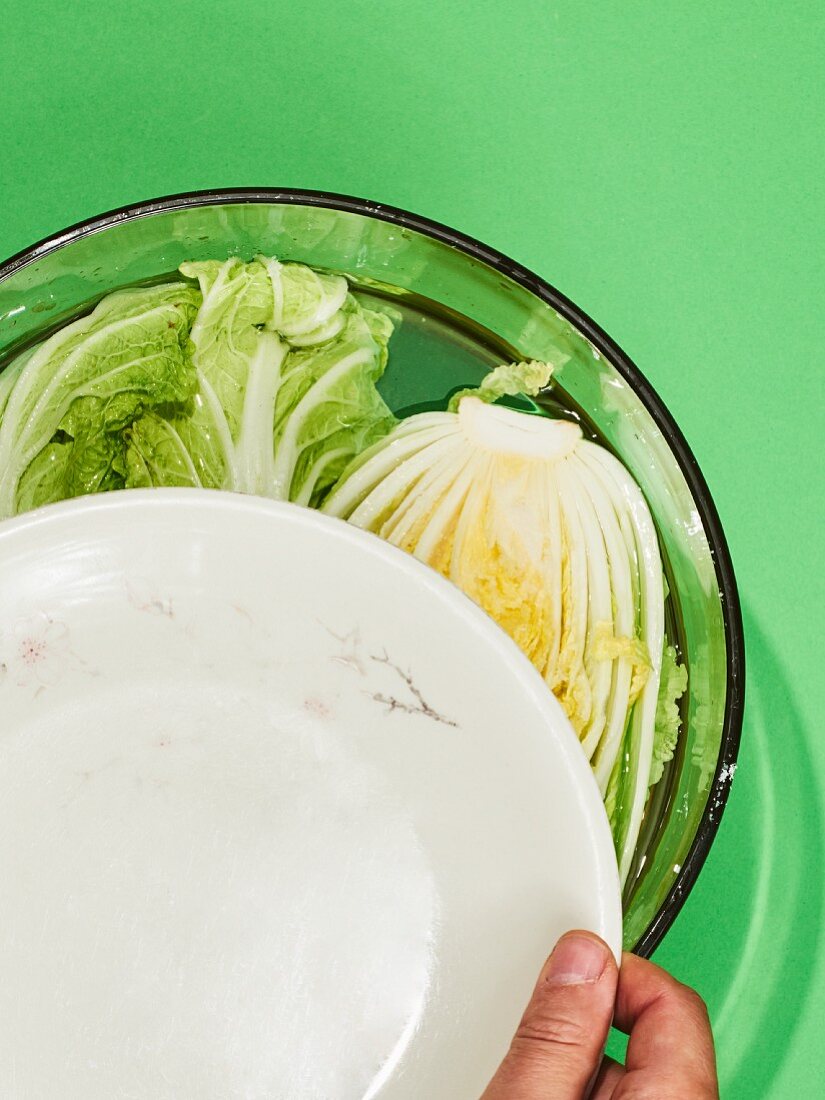 Chinese cabbage in a bowl with water