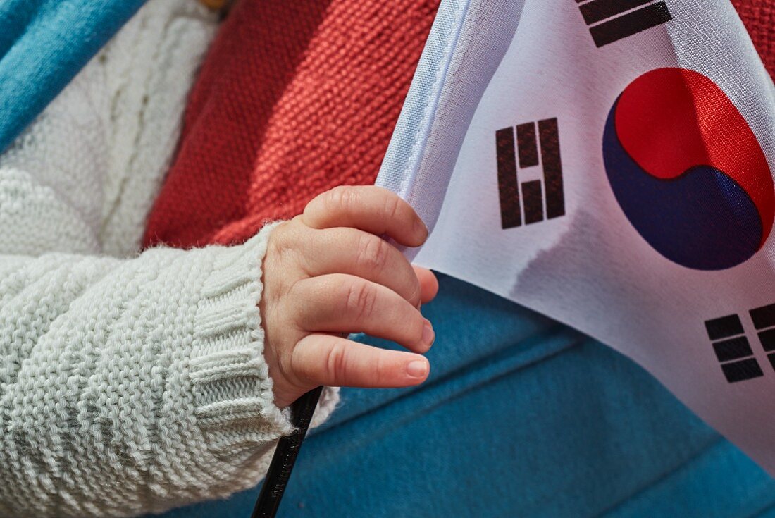 A child's hand holding the Korean flag