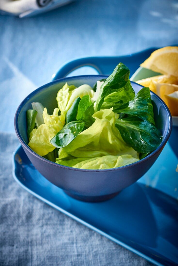 Grüner Salat in einem Schälchen