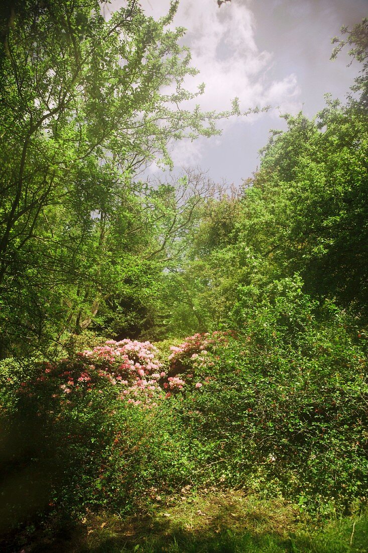 The experimental garden of the Weihenstephan-Triesdorf University of Applied Sciences in Freising, Bavaria, Germany