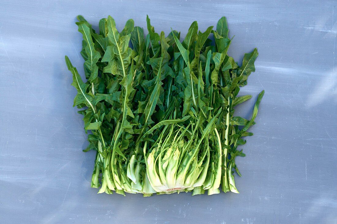 Puntarelle