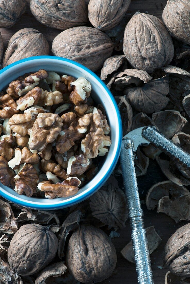 Organic walnuts, a nutcracker and nut shells