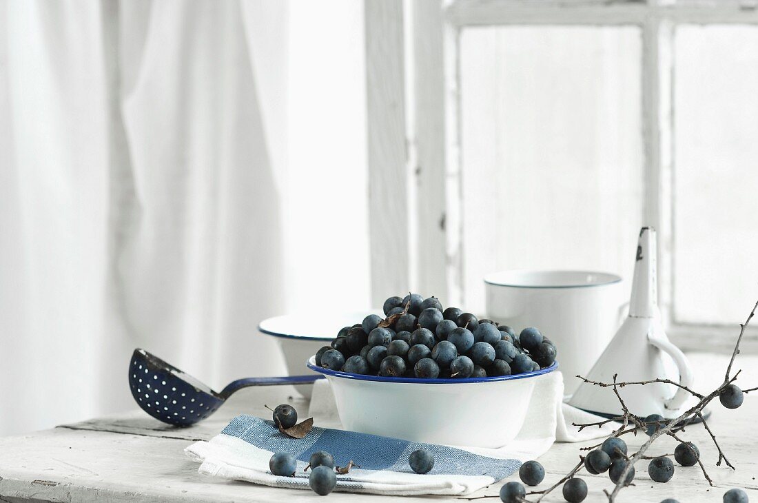 Blackthorn fruits in an enamel bowl with a blackthorn branch and a funnel on a kitchen table
