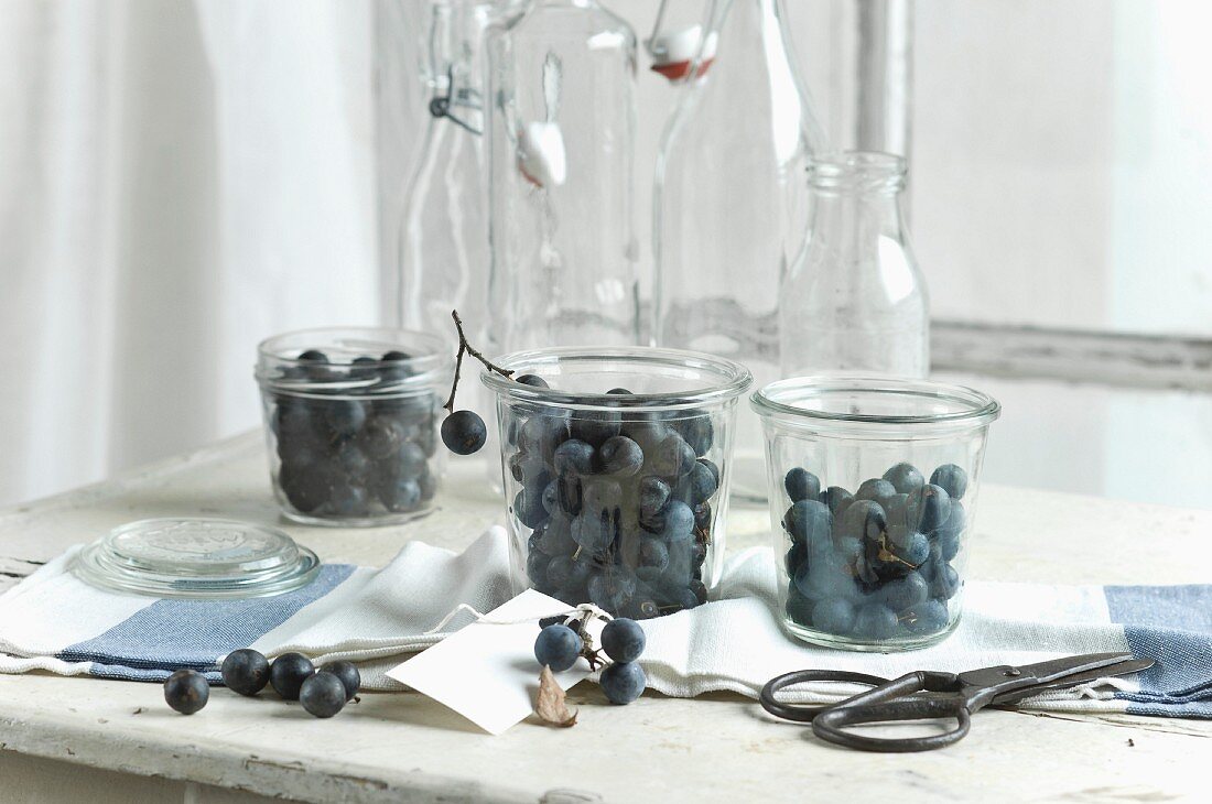 Blackthorn fruits in storage jars on a kitchen table with a blackthorn branch and scissors