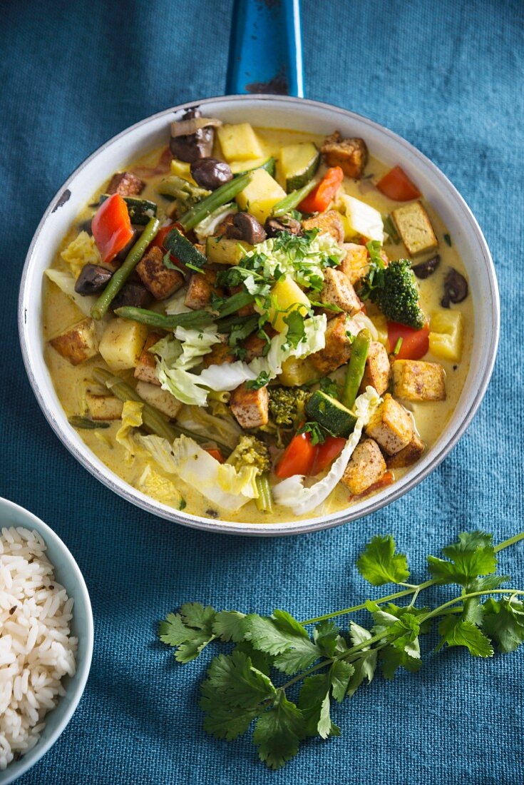 Veganes Gemüsecurry mit Tofu und Chinakohl