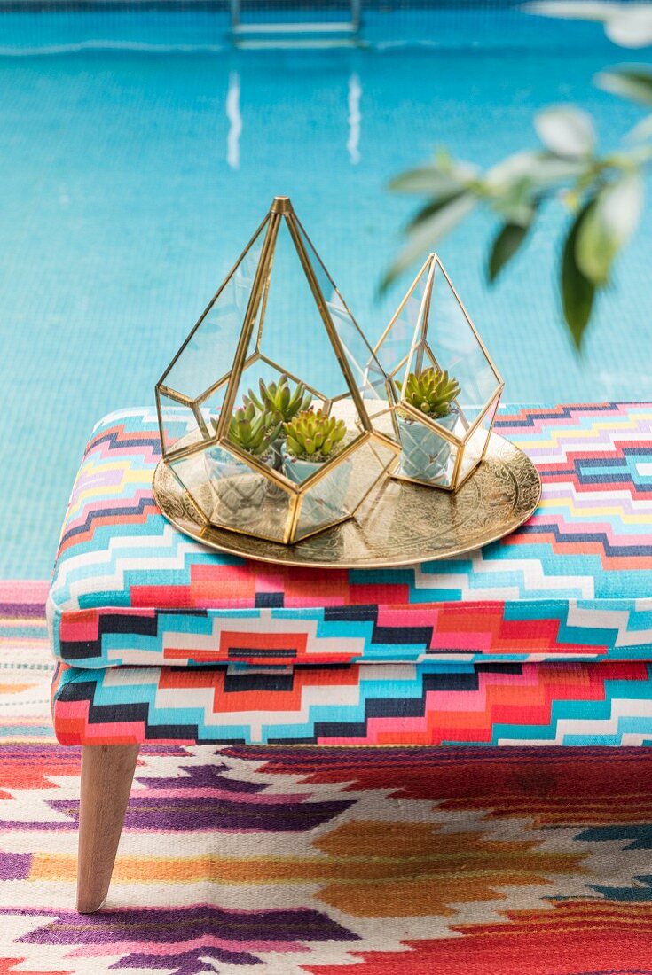 Succulents in terrariums on patterned bench next to pool