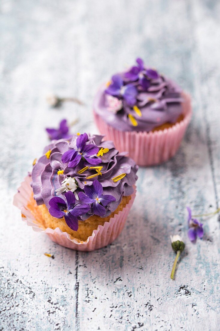 Cupcakes mit Veilchen, Gänseblümchen und Löwenzahnblütenblättern
