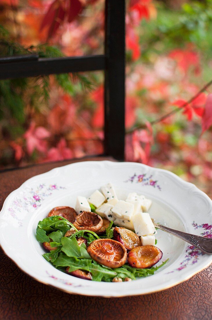 Salat mit Reizker, Rucola und Ser Korycinsk (Polnischer Käse)