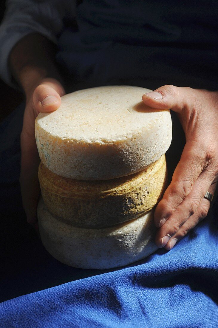 Hands holding cheese from Malga Fane (Italy)