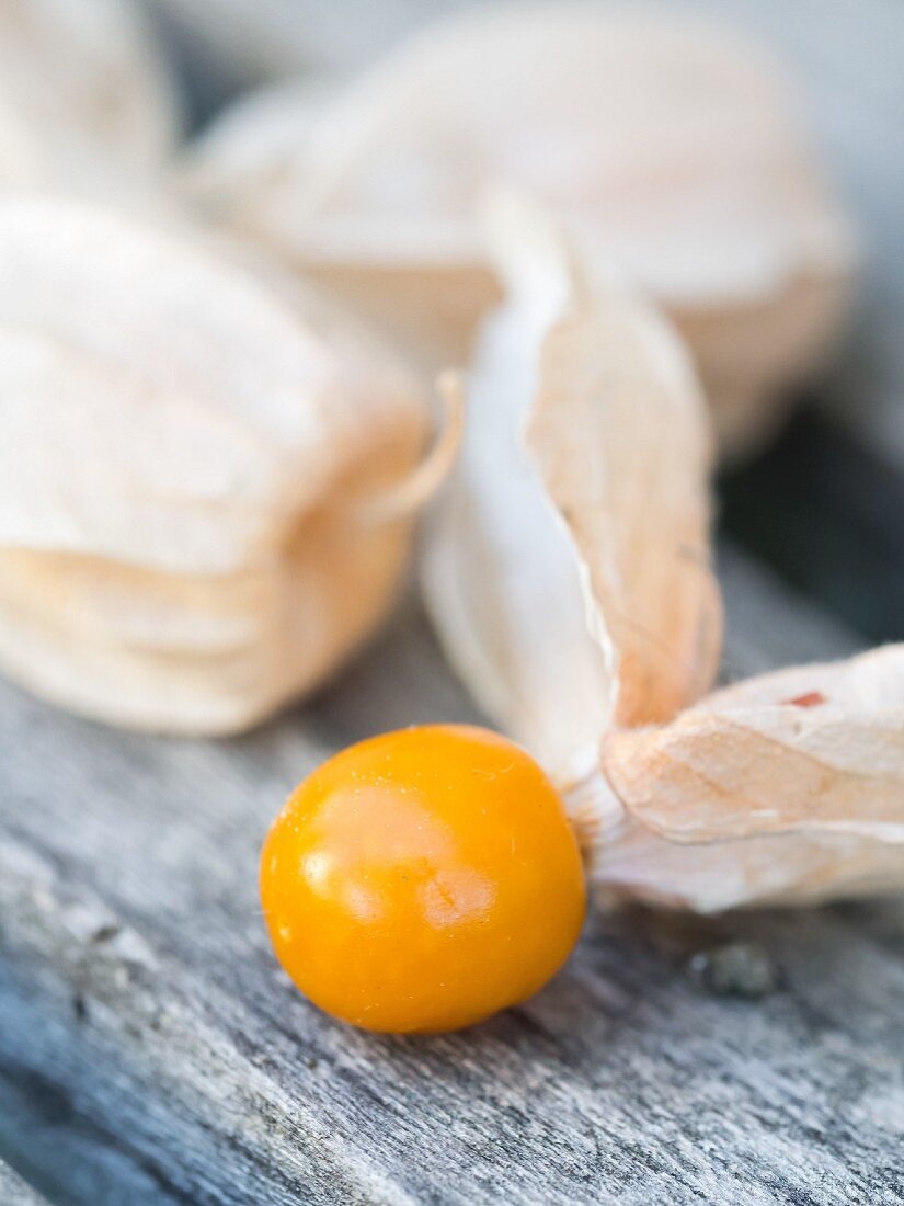 Cape gooseberry (Physalis peruviana) on an old wooden bench