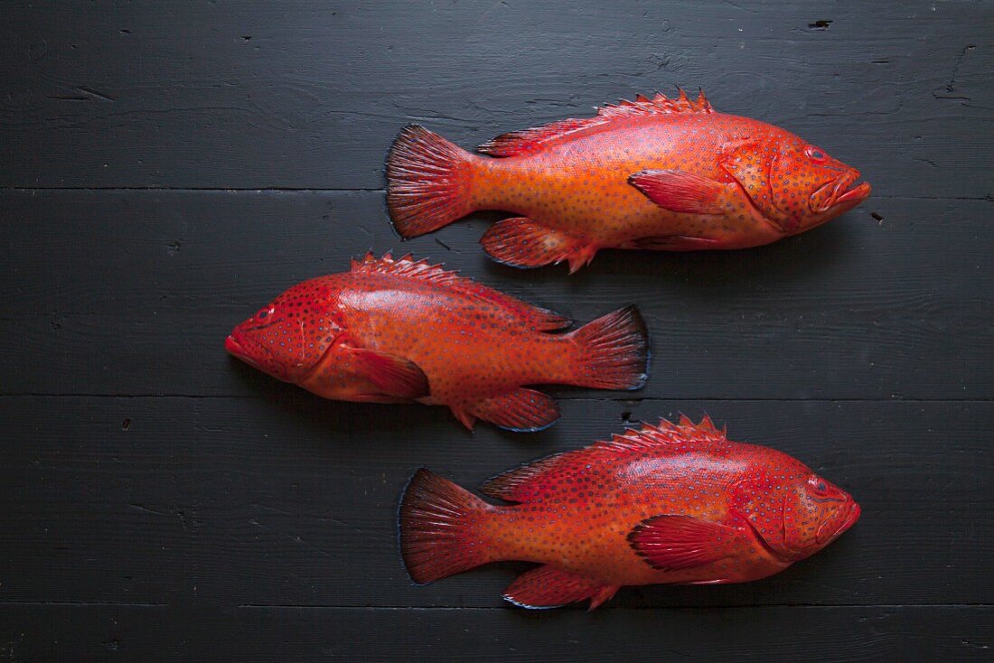 Fresh strawberry groupers on a black background