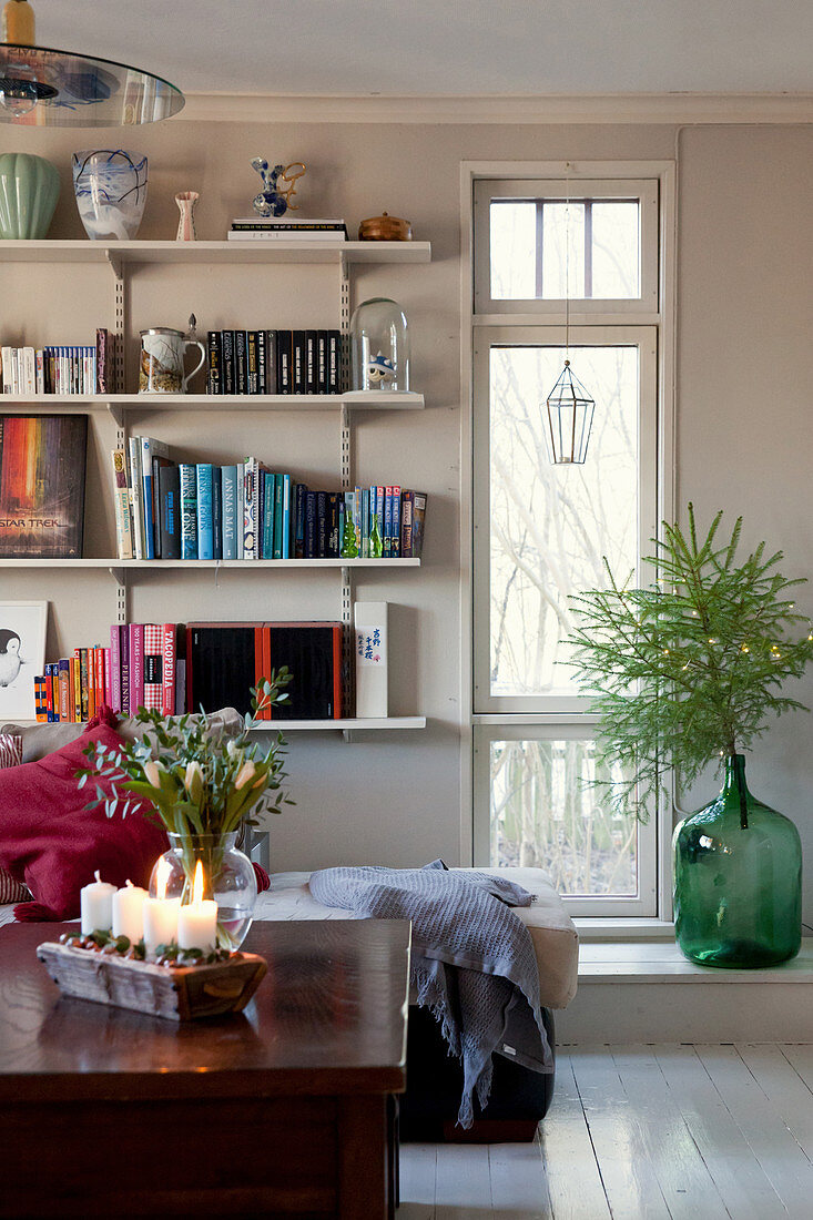 Tall, narrow window next to bookcase in living room with wintry decorations