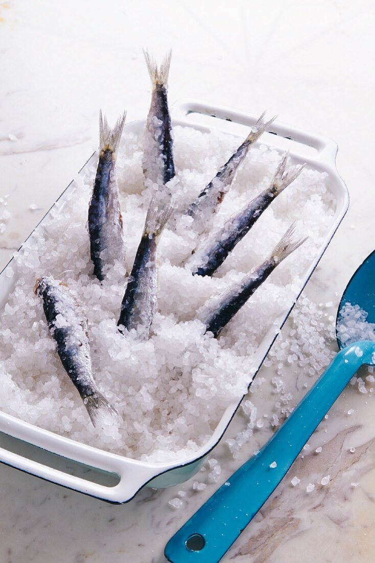 Sardines on a bed of salt